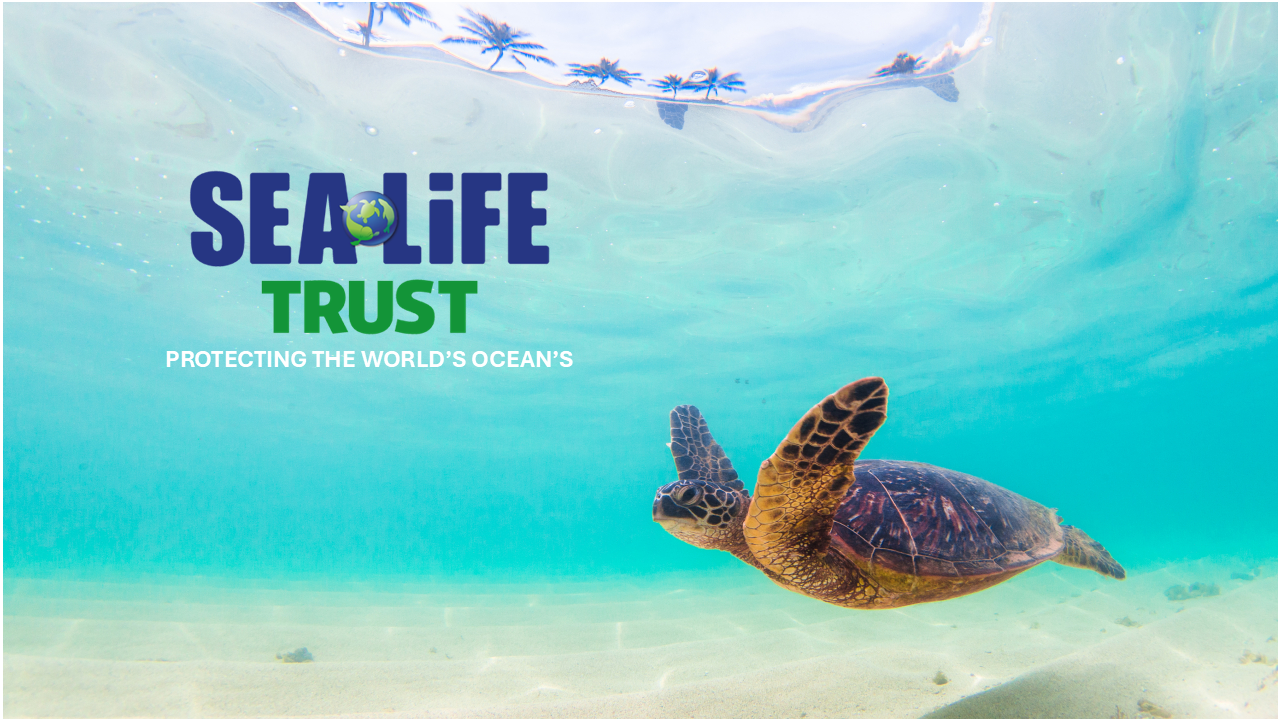 SEA LIFE Trust