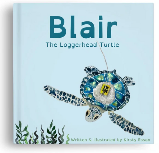 Blair the Loggerhead Turtle