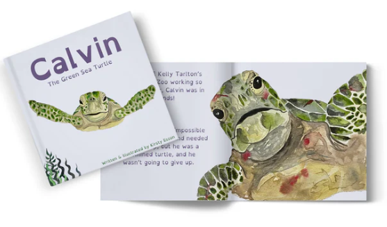 Calvin the Green Sea Turtle