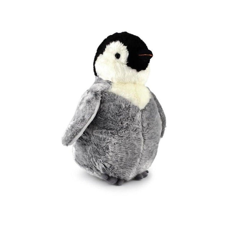 Nature Penguin